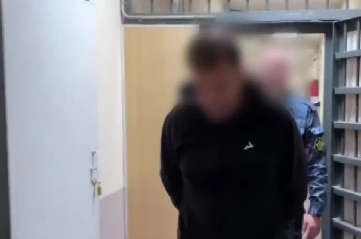 Жителя Челябинской области приговорили к 14 годам за госизмену